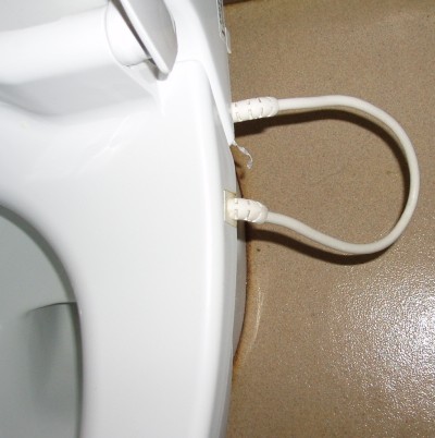 nalgas a la plancha en 20 minutos.jpg